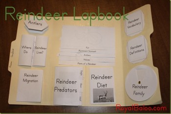 Free Reindeer Lapbook