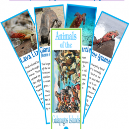 Free Printable Animals of the Galapagos Fan Book