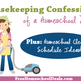 Housekeeping Confessions of a Homeschool Mom