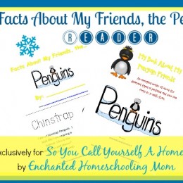 Facts About My Friends the Penguins