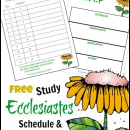 Free Ecclesiastes Bible Study Printables