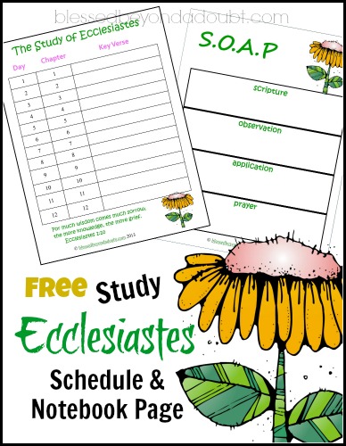 Free Ecclesiastes Study With Schedule And Notebooking Pages
