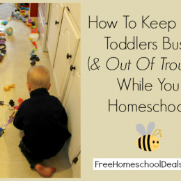 How to Keep Toddlers Busy While Homeschooling