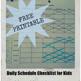 Daily Schedule Checklist for Kids