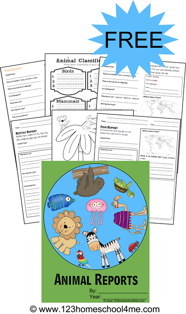 Animal Report Form Printables