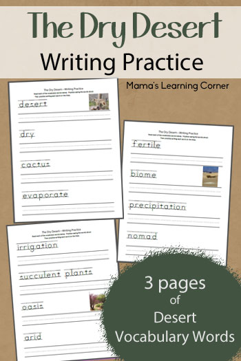 Dry Desert Writing Practice