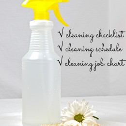 Free Cleaning Checklist