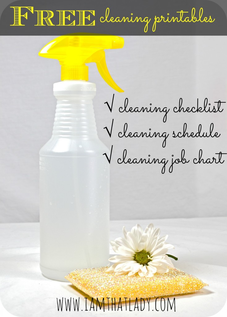 Free Cleaning Checklist