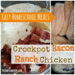 easy homeschool meals