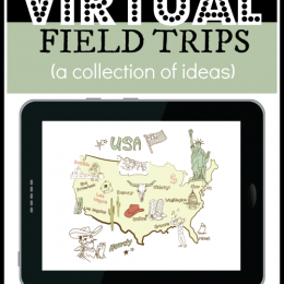 Virtual Field Trip Ideas