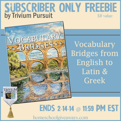 Vocabulary Bridges