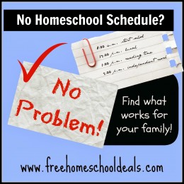 no homeschool schedule