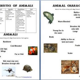 Animals and their Characteristics