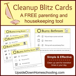 Cleanup Blitz Cards