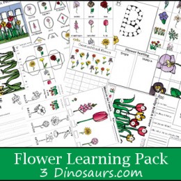 Flower Learning Pack