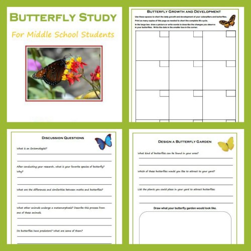 Free Butterfly Study Worksheets