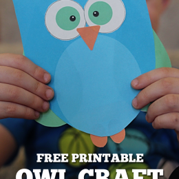 Free Printable Owl Craft