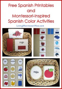 Free Spanish Printables and Monessori Activities