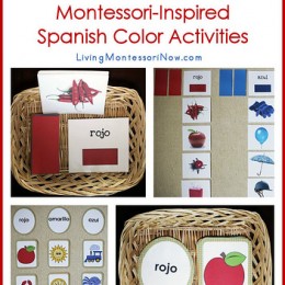 Free Spanish Printables and Monessori Activities