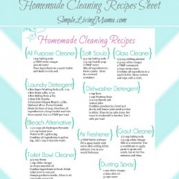Homemade cleaners