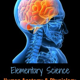 Human Anatomy Resources