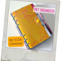 Printable Planner Pages