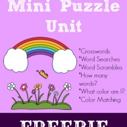 Rainbow Mini Puzzle Unit