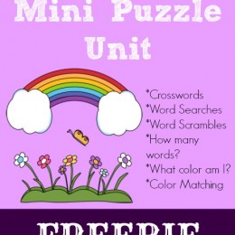 Rainbow Mini Puzzle Unit