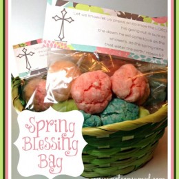 Spring Blessing Bag