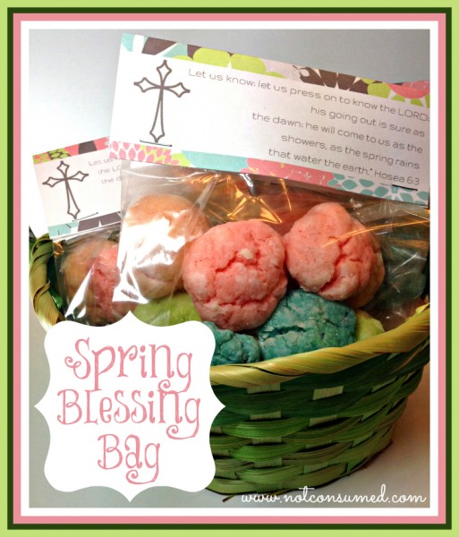 Spring Blessing Bag