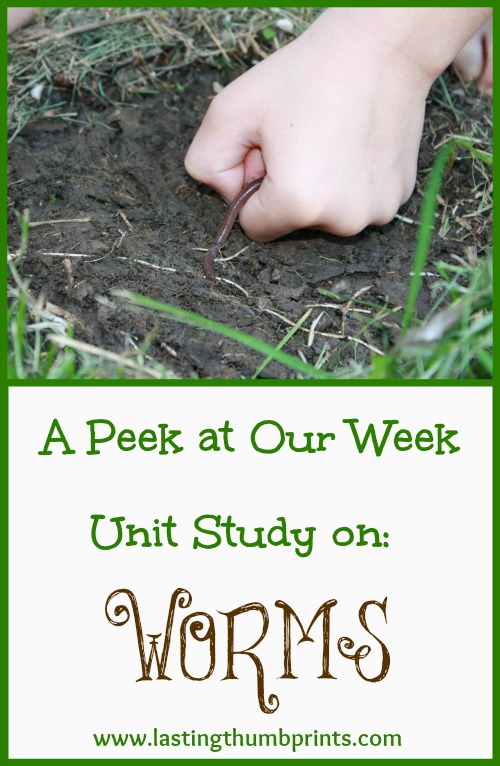 Worm Unit Study Resources