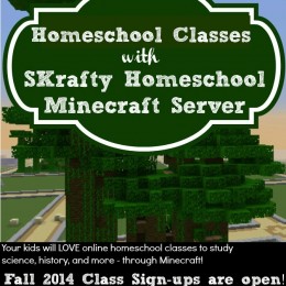 homeschool minecraft