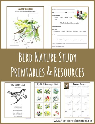 Bird-Nature-Study-Printables-from-Homeschool-Creations