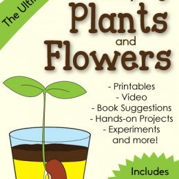 FREE Ultimate Guide to Studying Plants and Flowers