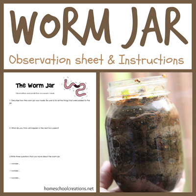 Worm Jar Observation Sheet