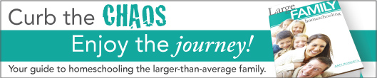 large family homeschooling