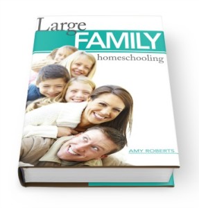 large family homeschooling