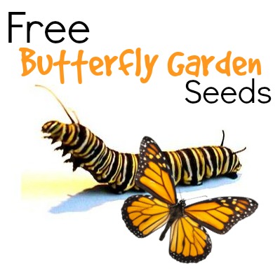 free butterfly garden seeds