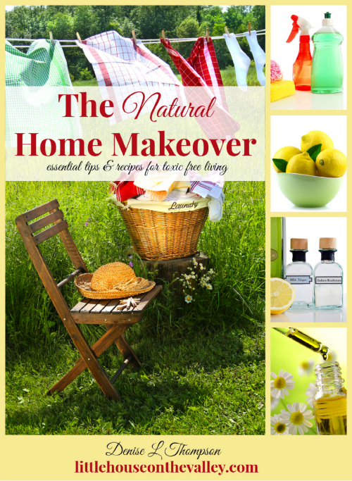 Free eBook The Natural Home Makeover (Subscriber Freebie)