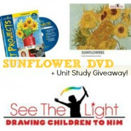 See The Light Christian Homeschool Art Curriculum