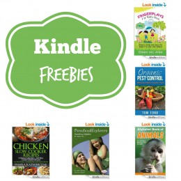 14 Free Kindle Books