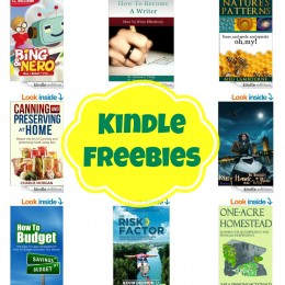 12 Kindle Freebies