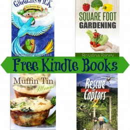 17 Free Kindle Books!