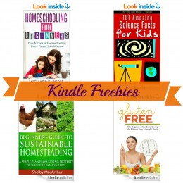 17 Kindle Freebies