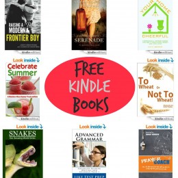 17 FreeKindle Books
