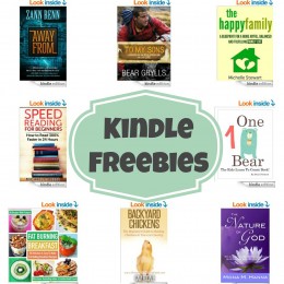 16 Kindle Freebies