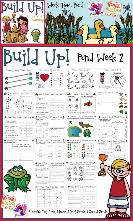 FREE Summer Learning Worksheets- Pond Theme