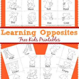 Learning opposites Bunny Printables