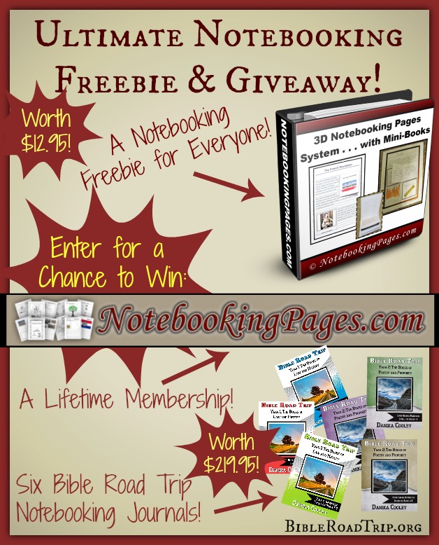 free 3d notebooking system