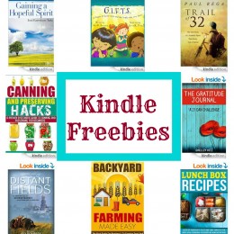 Kindle Freebies!